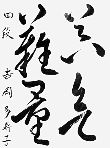 吉岡多寿子_作品